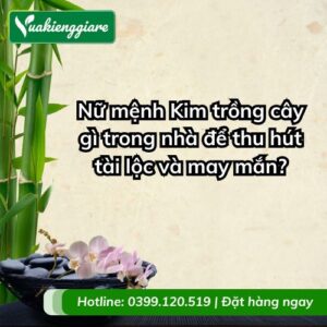 nữ mệnh kim trồng cây gì trong nhà