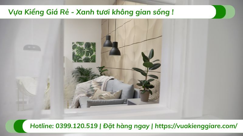 nữ mệnh kim trồng cây gì trong nhà