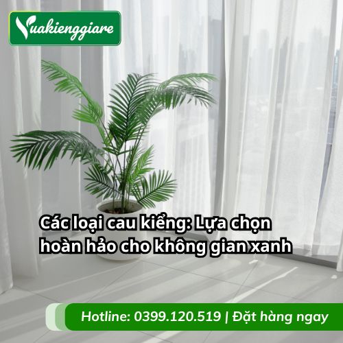 các loại cau kiểng