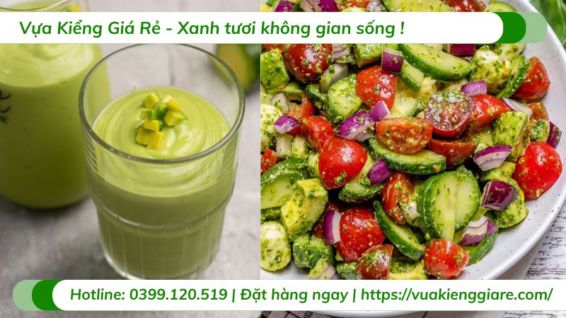 Lợi Ích Của Trái Bơ