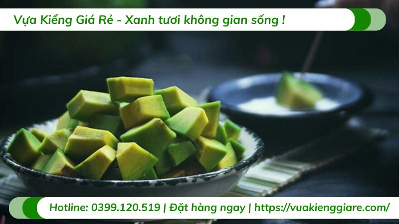 Cây bơ sáp (cây giống)