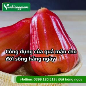 công dụng của quả mận