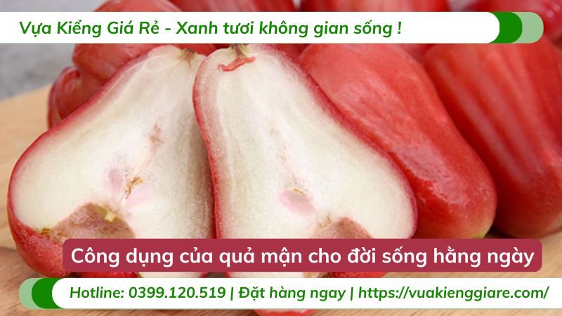 công dụng của quả mận