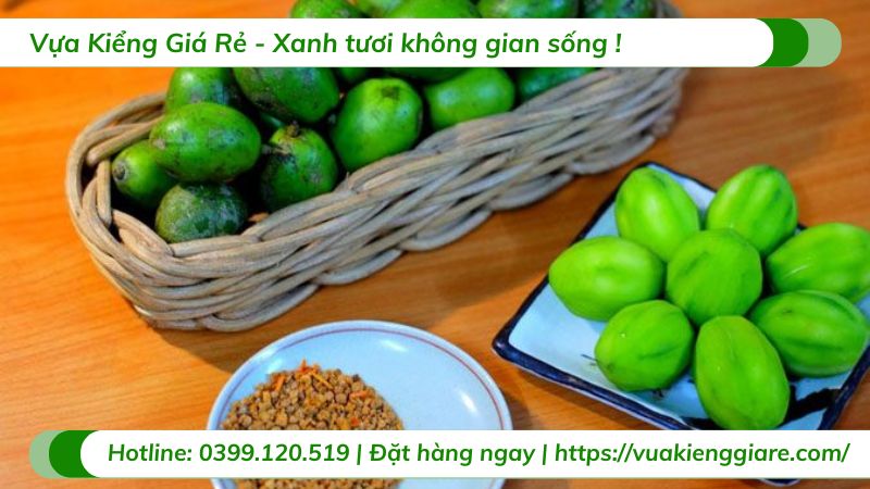 giống cóc phổ biến