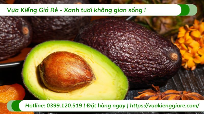 lợi ích của trái bơ