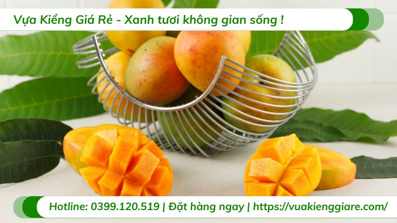 lợi ích trái xoài