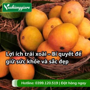 lợi ích trái xoài