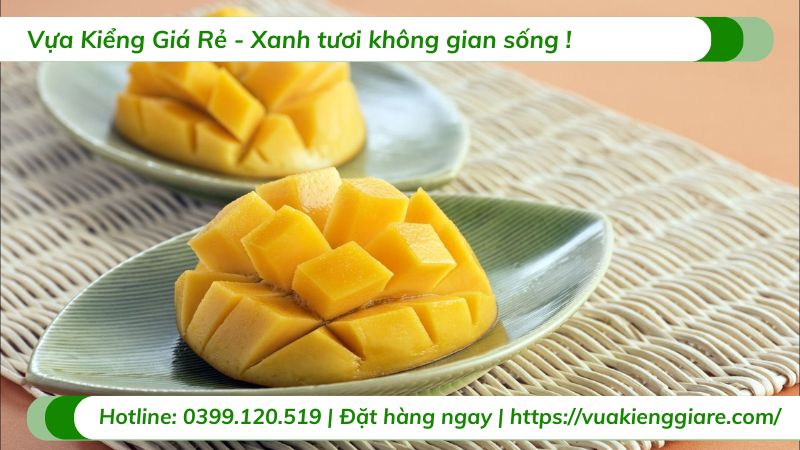 lợi ích trái xoài