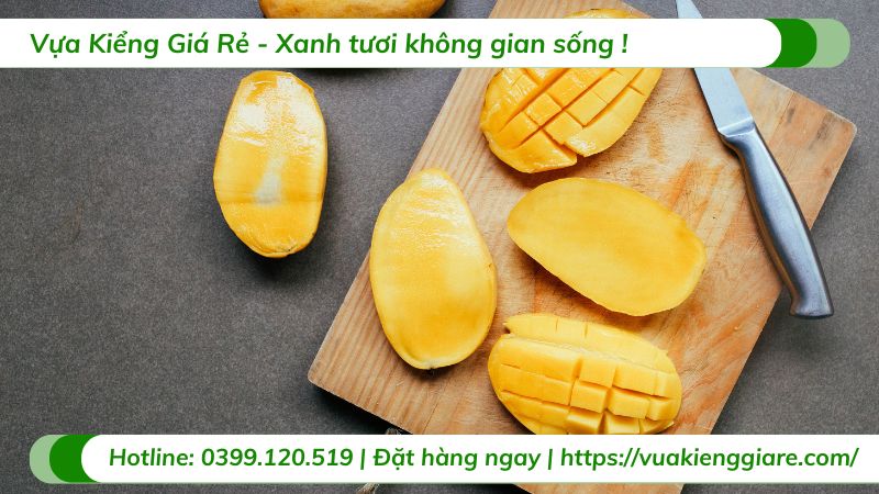 lợi ích trái xoài
