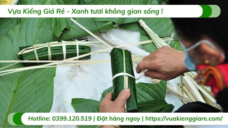 công dụng cây dong lá xanh