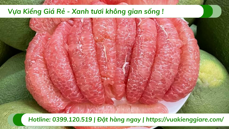 cây bưởi da xanh có trái